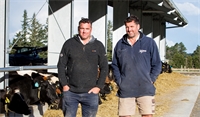 Thriving in dryland dairying