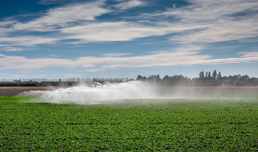 Strategies to prevent costly irrigator damage