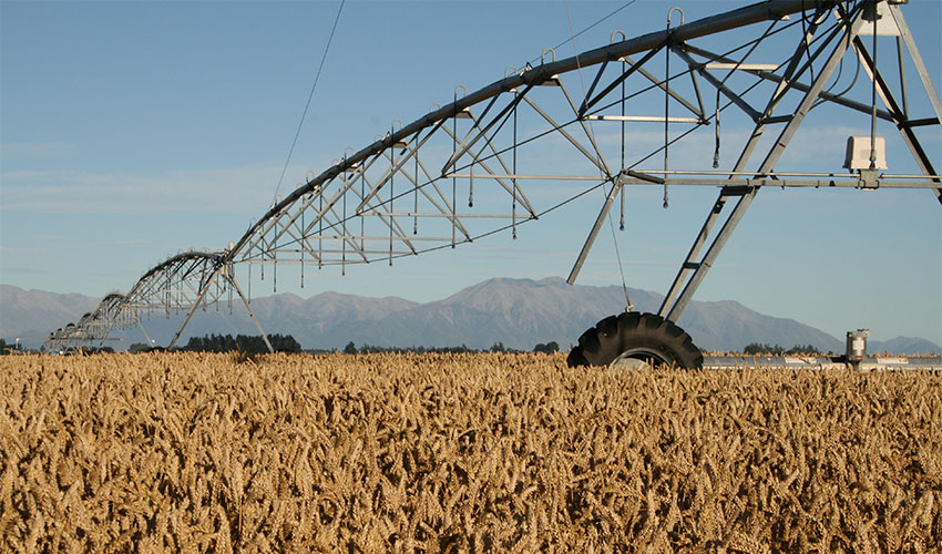 Measure or model—decision support for Irrigation Best Practice