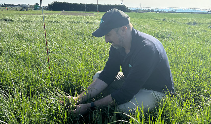 Identifying diverse herbicide options