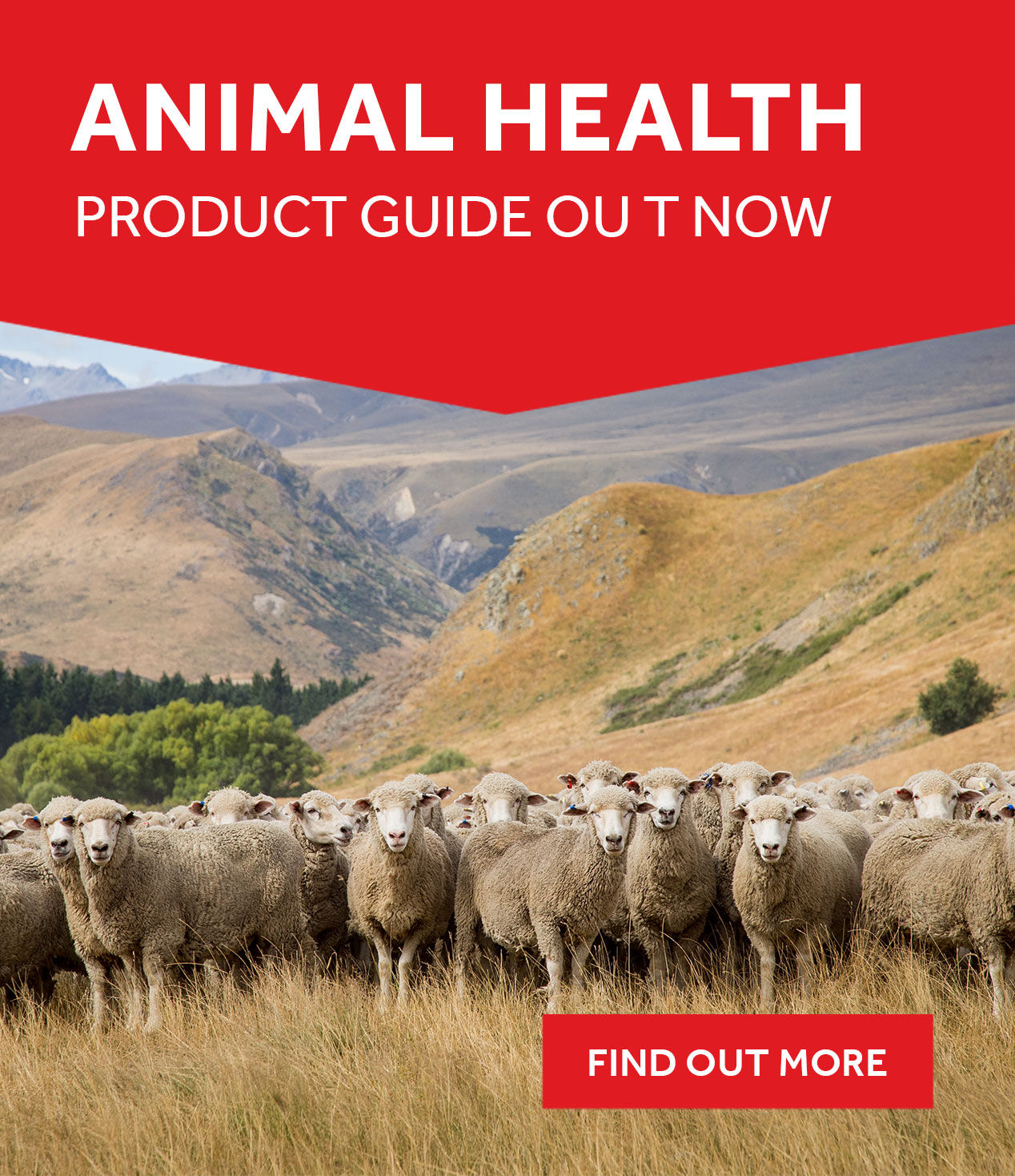 Animal Health Guide