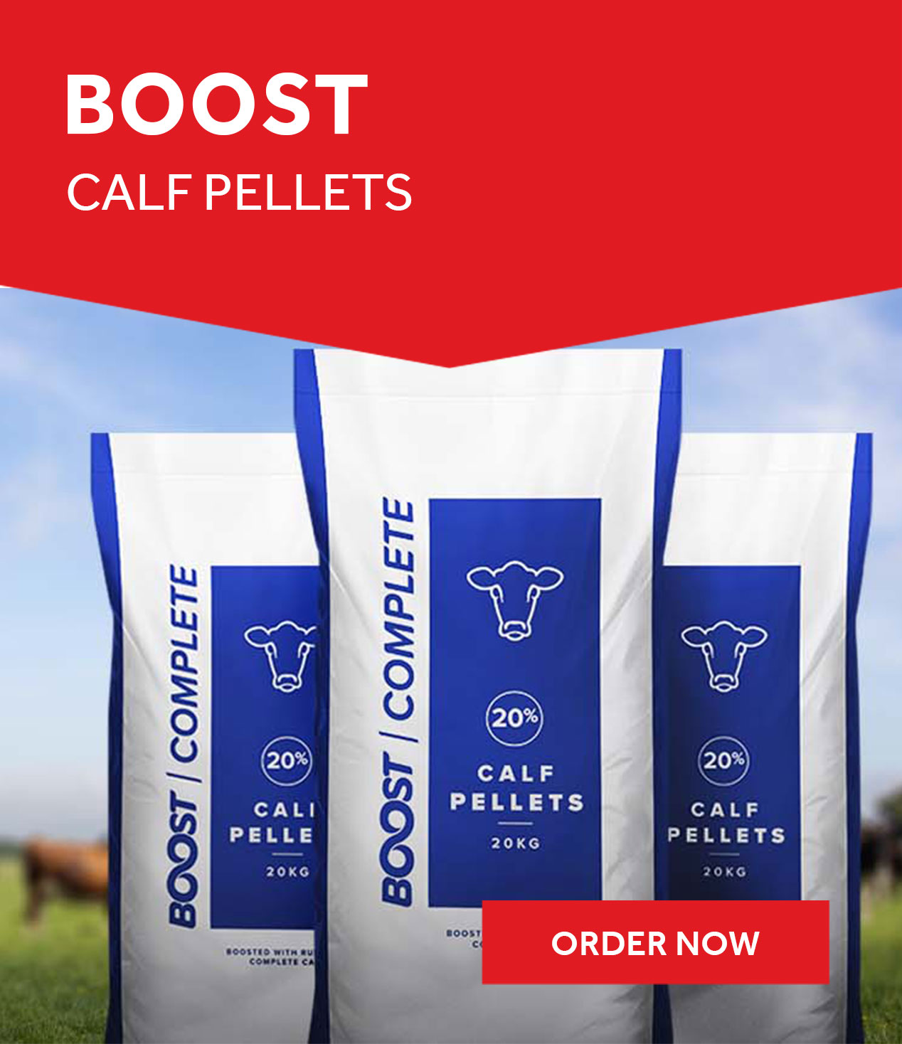 Boost Calf Pellets