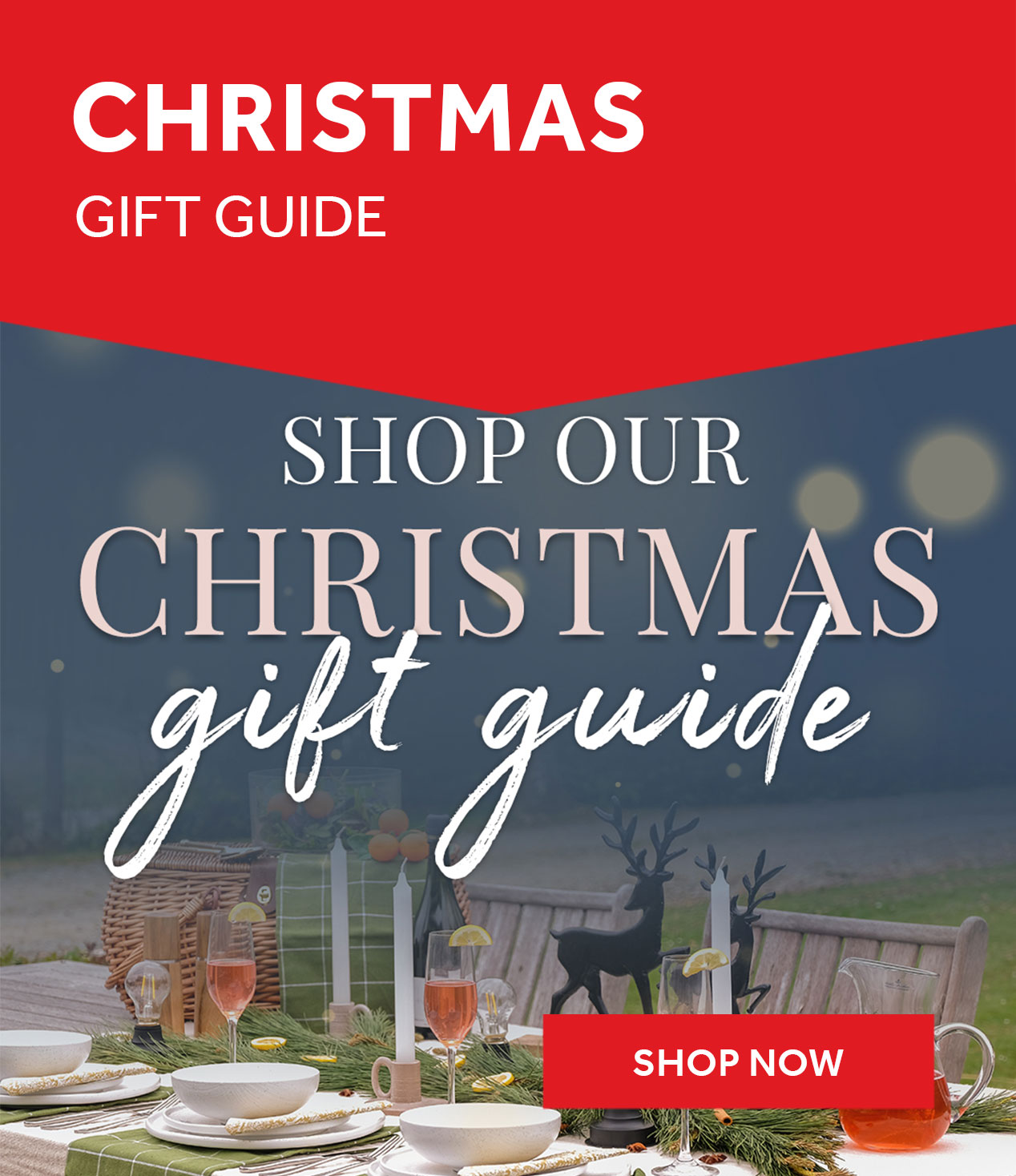 Shop the Christmas Gift Guide