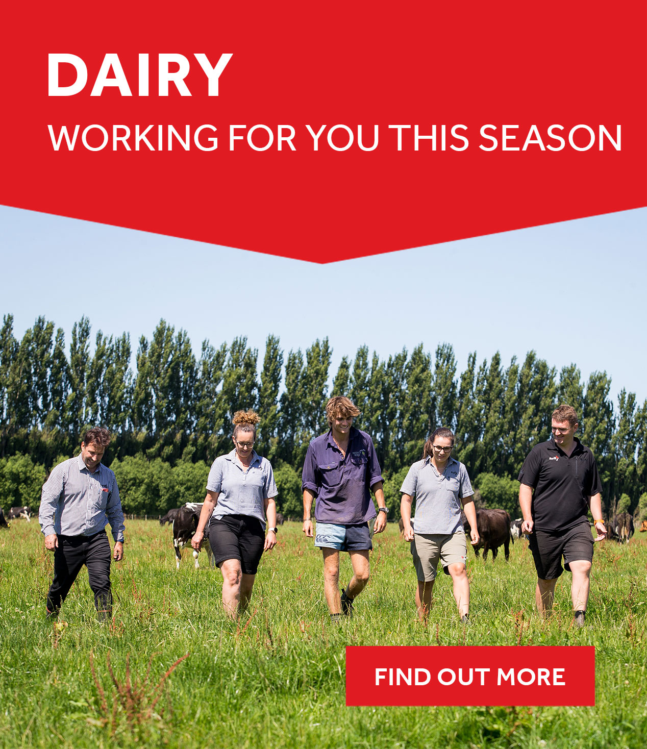 Find out how we can help you this dairy season